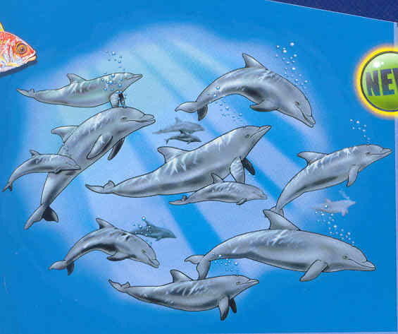 dolphins on a canvas book bag, beach bag or shopping bag