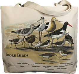 Shore birds on a canvas book bag, beach bag or shopping bag