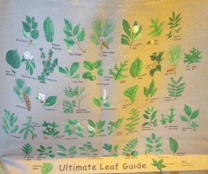 Trees species leaves, Ultimate Leaf Canvas Bag
