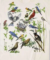 Backyard songbirds on a canvas book bag, beach bag or shopping bag