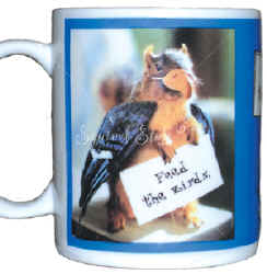 Squirrel dressed up like Blue Jay costume Feed the Birds Ceramic Mug