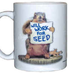 Will Work For Seed squirrel Ceramic Mug