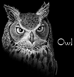 raptors Great Horned Owl  of north america na birds of prey great horned owl t-shirt tshirt tee shirt