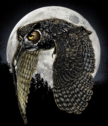 raptors owls of north america na birds of prey great horned owl t-shirt tshirt tee shirt
