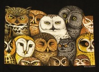 raptors owls of north america na birds of prey t-shirt tshirt tee shirt