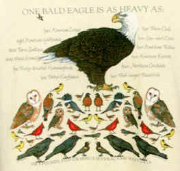 One Eagle Is as Heavy as... raptors of north america na birds of prey eagle t-shirt tshirt tee shirt