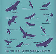 flight silhouettes of raptors of north america na birds of prey t-shirt tshirt tee shirt