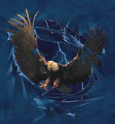 raptors of north america na birds of prey bald eagle t-shirt tshirt tee shirt