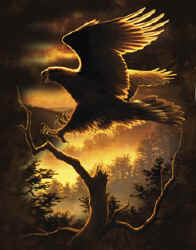 golden eagle raptors of north america na birds of prey bald eagle t-shirt tshirt tee shirt