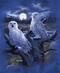 Snowy Owl Moon raptors owls of north america na birds of prey snowy owl t-shirt tshirt tee shirt