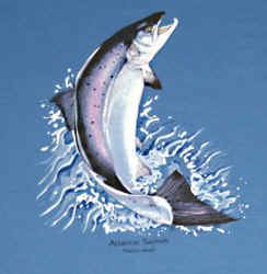 fresh water atlantic salmon fish species t-shirt
