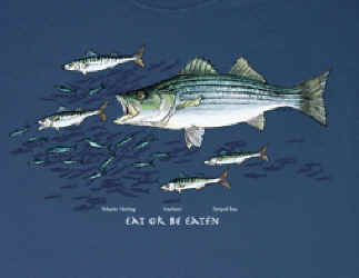 saltwater fish species food chain herring mackerel striped bass striper t-shirt