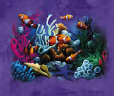 saltwater reef fish marine coral reef clown fish finding nemo t-shirt