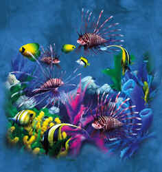 saltwater reef fish marine coral reef lion fish species t-shirt