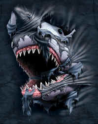shark t-shirt