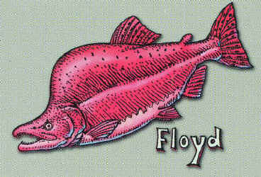 Ray Troll pink floyd salmon humor t-shirt