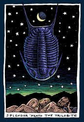 Ray Troll trilobite fossil in starry sky with hilly scene below fish humor t-shirt