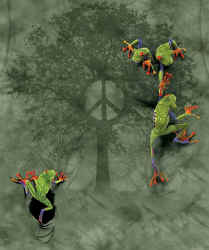 south and central american tropical poison dart and red eyed treefrog tree Frog species on a t-shirt
