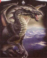 dragon t-shirt tshirt tee shirt