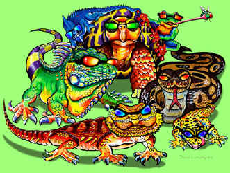 Flying Lizards Money Flying Lizards Money