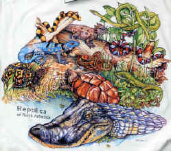 north American Herps reptile and salamander and frogs on a t-shirt youth, cotton reptile t-shirts, tees, serpent teeshirt, t-shirts, t-shirts, herpetology