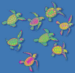sea turtles of the world on a t-shirt