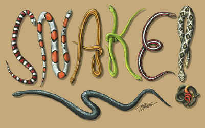 north American Herps reptile snakes youth, cotton reptile t-shirts, tees, serpent teeshirt, t-shirts, t-shirts, herpetology