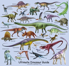 Dinosaur Identification Chart