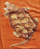 turtles of North America on a t-shirt