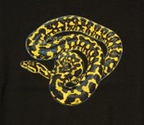 Carpet Python  Herps reptile snakes youth, cotton reptile t-shirts, tees, serpent teeshirt, t-shirts, t-shirts, herpetology