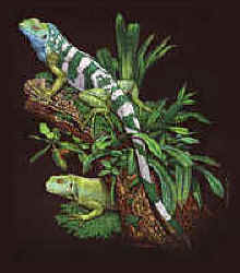 Iguana lizard t-shirt tshirt tee shirt