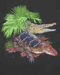 alligator t-shirt