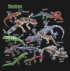 Gecko lizard t-shirt tshirt tee shirt