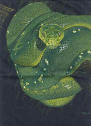green tree boa Herps reptile snakes youth, cotton reptile t-shirts, tees, serpent teeshirt, t-shirts, t-shirts, herpetology