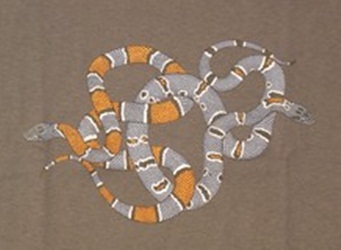 Greybanded Kingsnakes  north American Herps reptile snakes youth, cotton reptile t-shirts, tees, serpent teeshirt, t-shirts, t-shirts, herpetology
