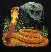 King Cobra  Herps reptile snakes youth, cotton reptile t-shirts, tees, serpent teeshirt, t-shirts, t-shirts, herpetology