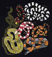 north American Herps reptile snakes youth, cotton reptile t-shirts, tees, serpent teeshirt, t-shirts, t-shirts, herpetology