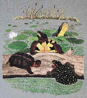 turtles of North America on a t-shirt