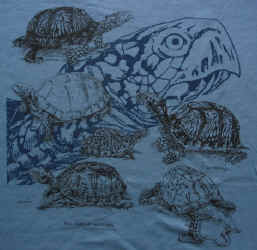 box turtles sketches on a matural t-shirt