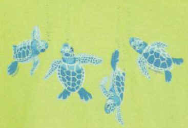 sea turtles of the world on a t-shirt