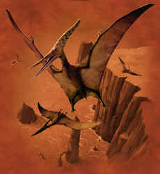 pteranodon dinosaurs t-shirt tshirt tee shirt