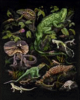 lizards of the world t-shirt tshirt tee shirt