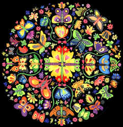 butterfly lepidoptera  species on a t-shirt