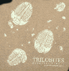 trilobite fossil t-shirt
