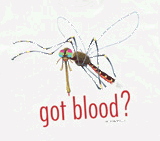 aquatic insect species mosquito on a t-shirt with the text got blood