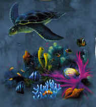 aquatic marine invertebrate species mollusc shellfish sea shells coral reef and sea turtleon a t-shirt
