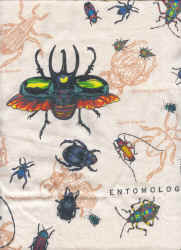 ladybug, ladybird beetle lady beetle beetle species of the world on a t-shirt