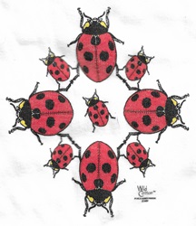 ladybug, ladybird beetle lady beetle beetle species of the world on a t-shirt