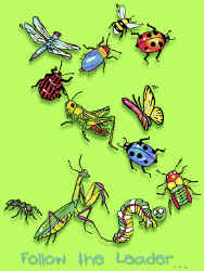 insect species on a t-shirt youth tee, cotton insect shirts, tees, teeshirt, t-shirts, t-shirts