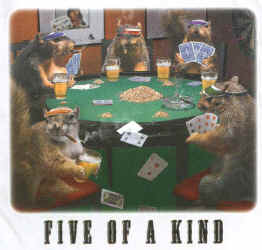 Five Of A Kind Squirrels playing Poker graphic t-shirt tshirt tee shirt